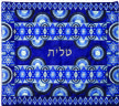 Emanuel Full Embroidered Tallit Bag - Blue